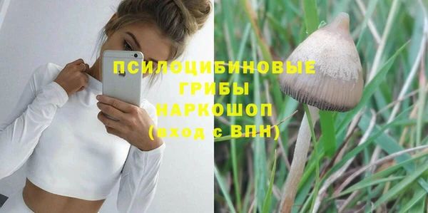 бошки Алзамай
