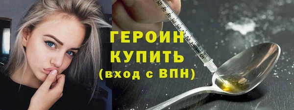 гашик Алексин