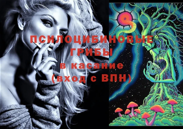 гашик Алексин
