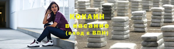 гашик Алексин