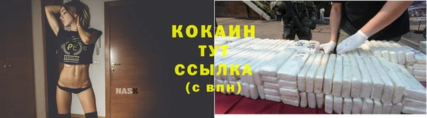 гашик Алексин