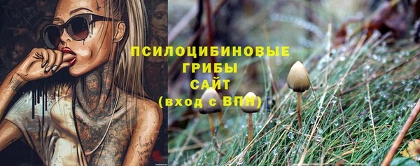бошки Алзамай