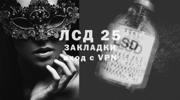 гашик Алексин