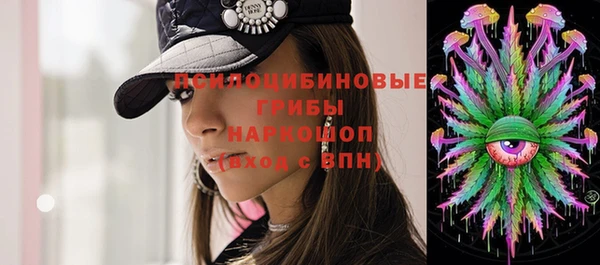 бошки Алзамай