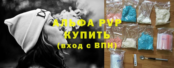 гашик Алексин