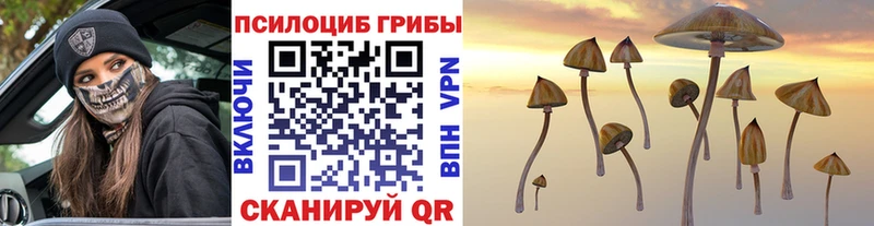 Псилоцибиновые грибы ЛСД Крымск